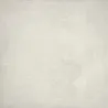 Rapid Blanc